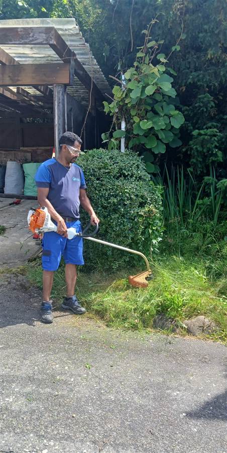 Gartenpflege durch Amanuel Reinigung